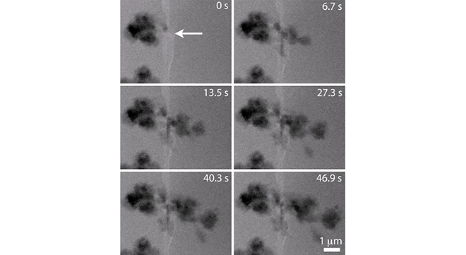 Real-time images of lithium dendrite structures could lead to better batteries