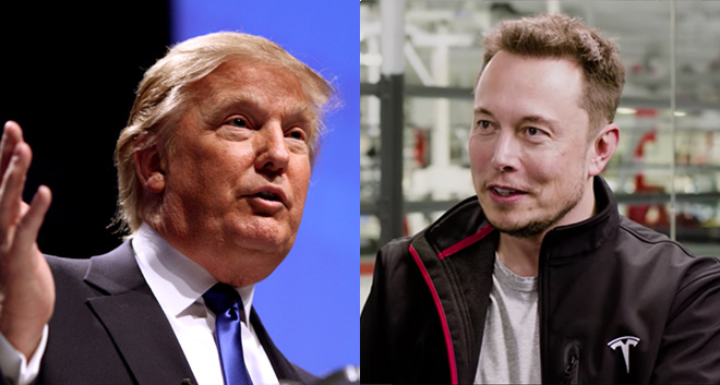 Elon Musk named to president-elect Trump’s advisory team