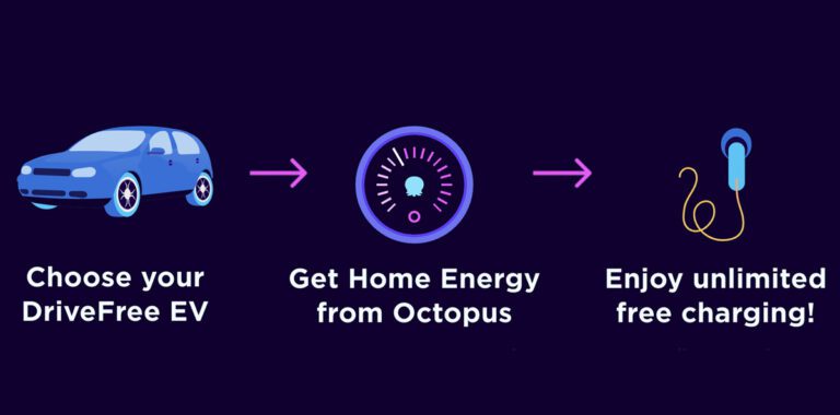 Octopus-Electric-Vehicles