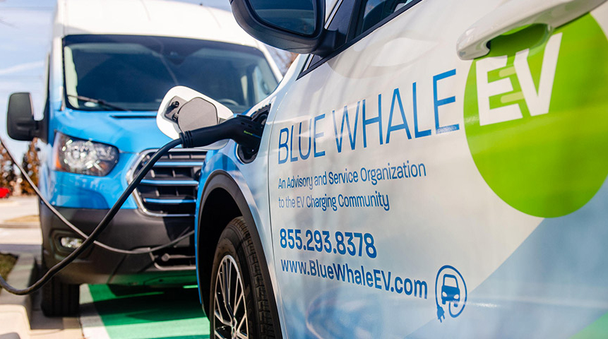 Blue Whale EV opens new headquarters