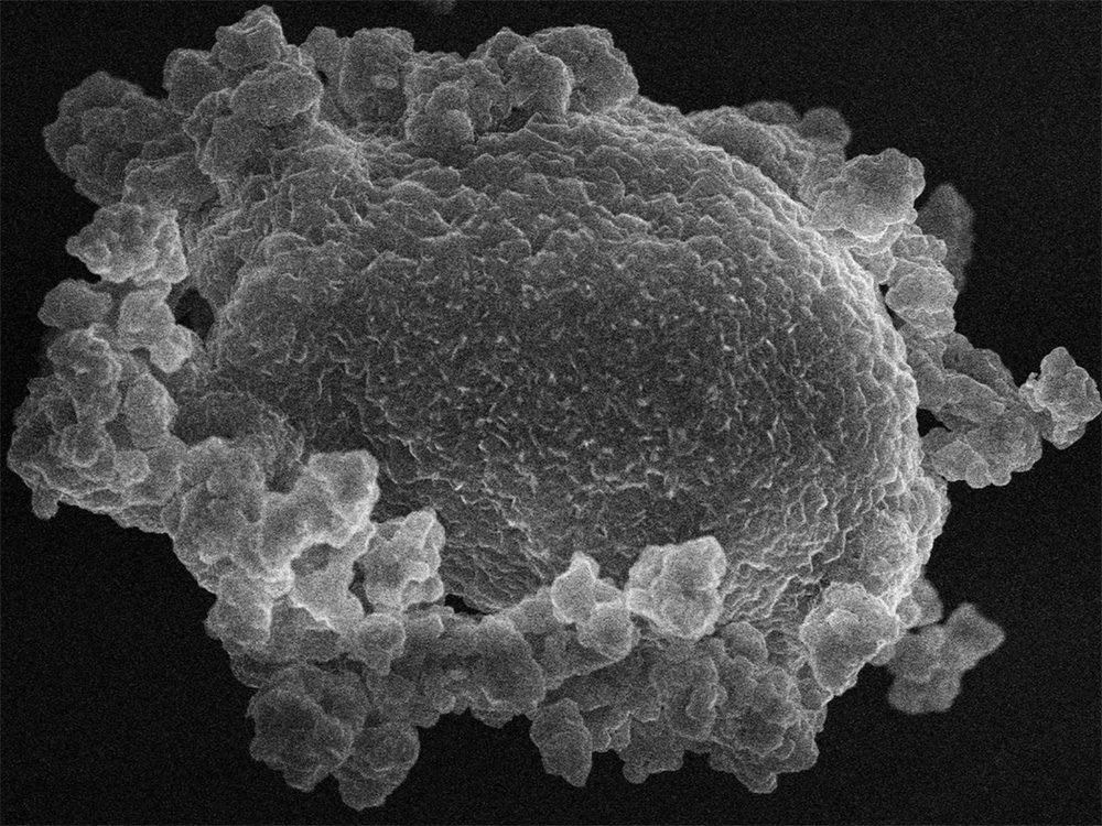PNNL researchers study common lithium salt for cheaper and quicker battery manufacturing