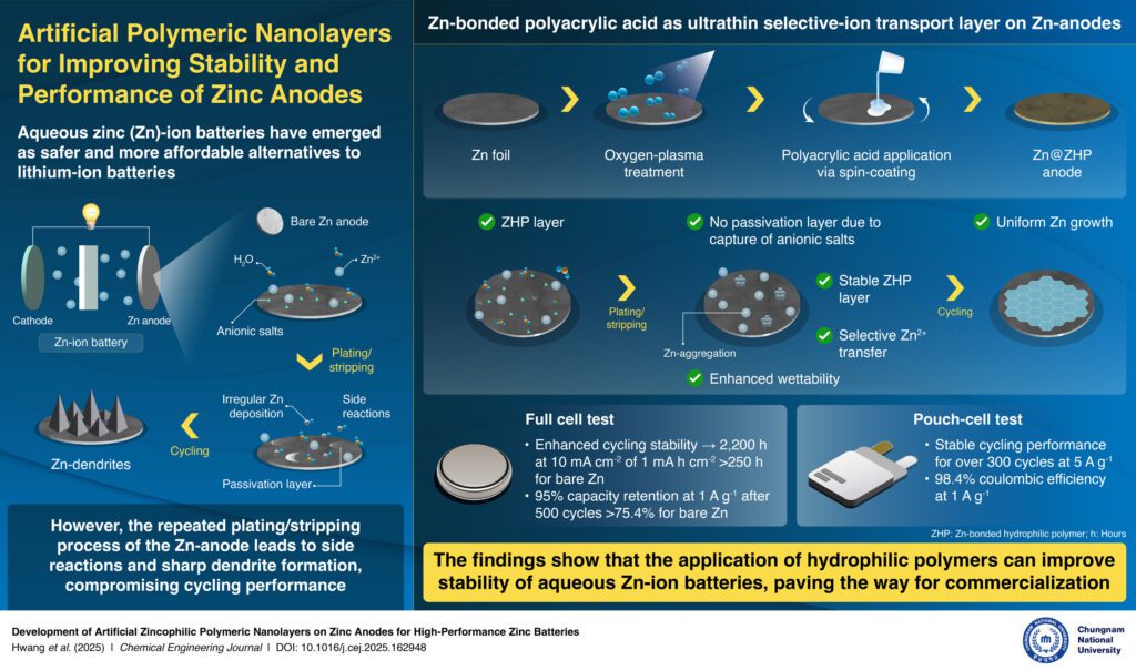 Korean researchers develop artificial polymer nanolayers to improve zinc battery stability