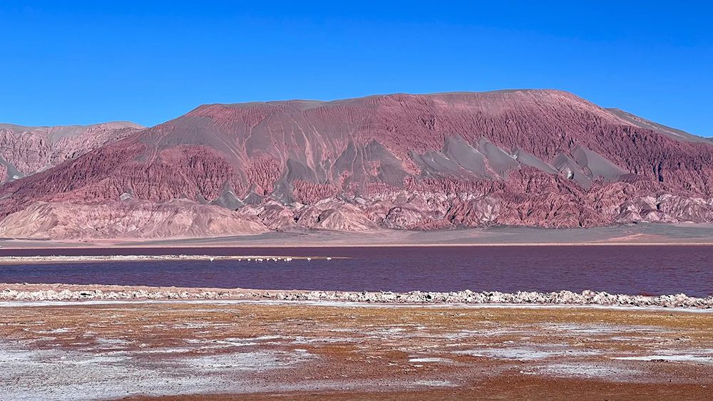 Lilac’s direct lithium extraction technology improves economics for Lake Resources’ Kachi Project