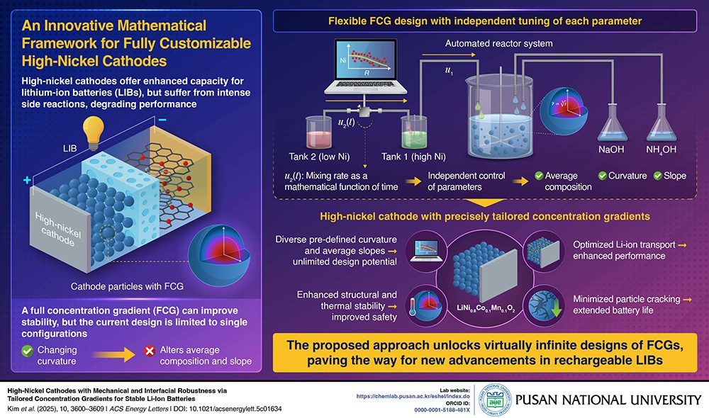 Korean scientists find a way to control concentration gradients in high-nickel cathodes