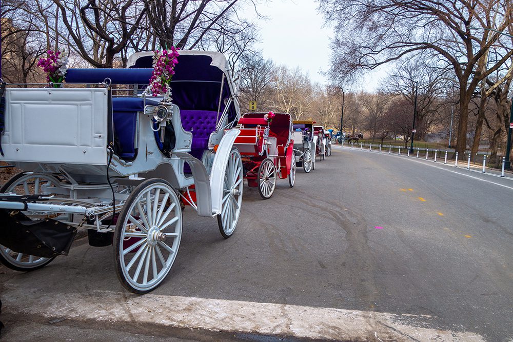 New York City to replace Central Park’s horse-drawn cabs with electric carriages