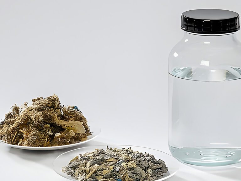 From Waste to Value: Recycling Automotive Shredder Residue and Bio-Waste into High-Value Feedstock / Vom Abfall zum Wert(stoff): Recycling von Automobil-Schredder-Rückständen und Bioabfall zu hochwertigen Rohstoffen