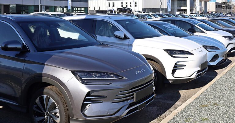 Udine, Italy. November 1, 2024. BYD Song plus models in a row in