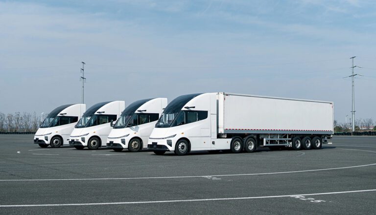 windrose_lineup_graft6